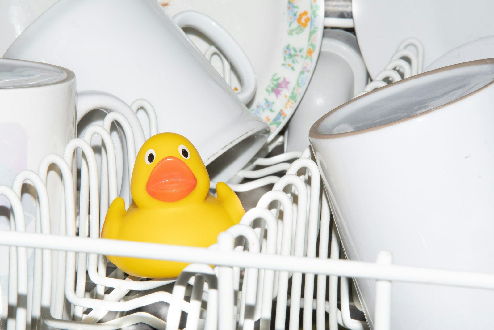 Whirlpool dishwasher repair — professional appliance service